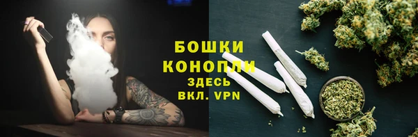 сатива Строитель