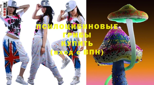сатива Строитель