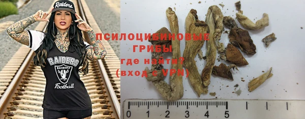 сатива Строитель