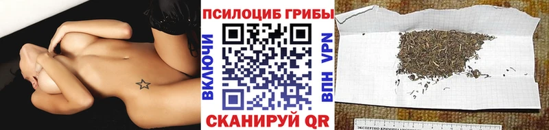 Галлюциногенные грибы мухоморы Купить где Цимлянск